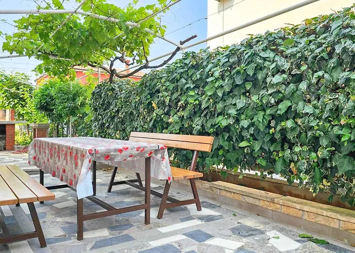 Aurelio Novigrad Istria