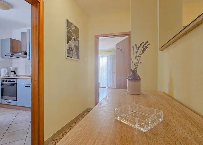 Aurelio Διαμέρισμα Novigrad Istria